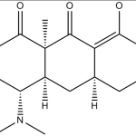 ROM – Acronym